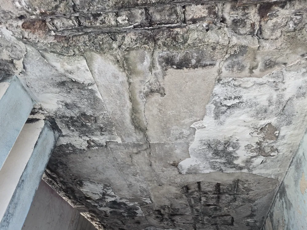 Dark staining, loss of the surface coating and cracking across the underside of a ceiling, in a Puerto Rico building