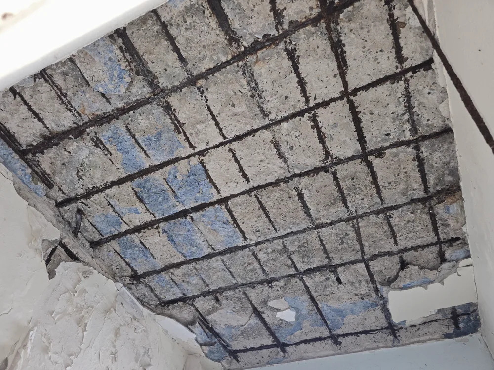 Corroded two-way reinforcing steel exposed across a spalled concrete soffit during a structural condition assessment
